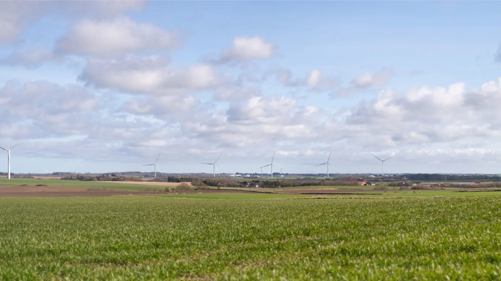 Mark med vindmøller i baggrunden
